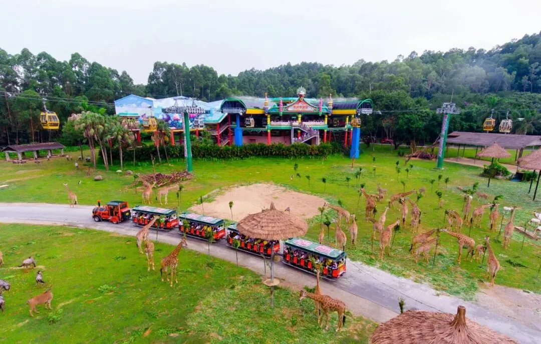 女神节宠粉!广东景区放大招,免票、半价、限定活动一键收藏