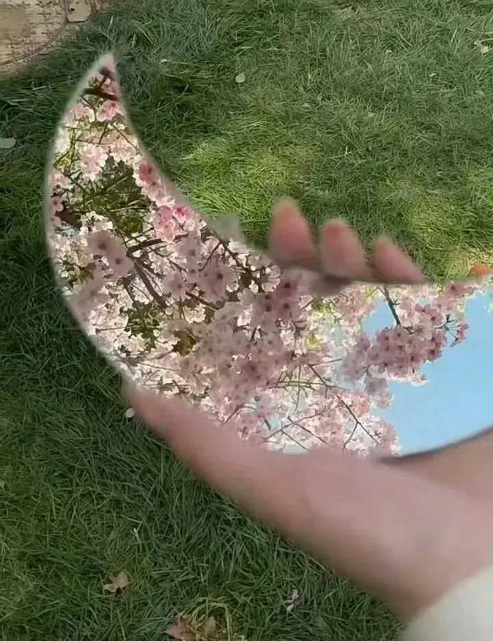 在人比花还多的景区,如何拍出有意思的照片?简单2招教会你!