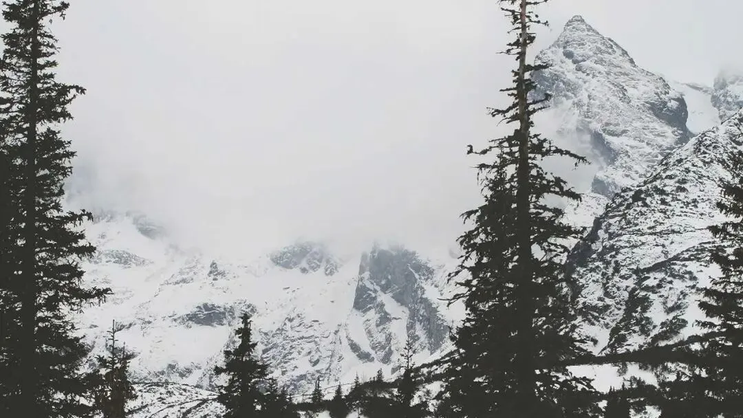 男子丽江旅游中奖1034万成热点,揭秘背后逻辑