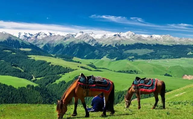 新疆旅游|夏季必玩景点:独库、夏塔、琼库什台、那拉提、唐布拉