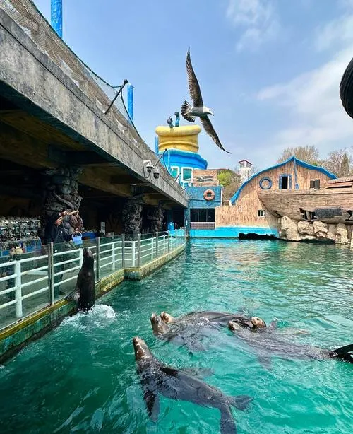 大连著名的旅游景点——老虎滩