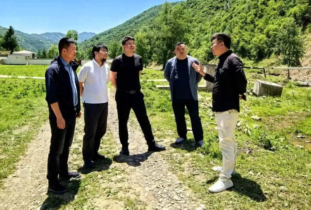 共生文旅创享旅居:定义、差异、乡村与景区应用及未来发展