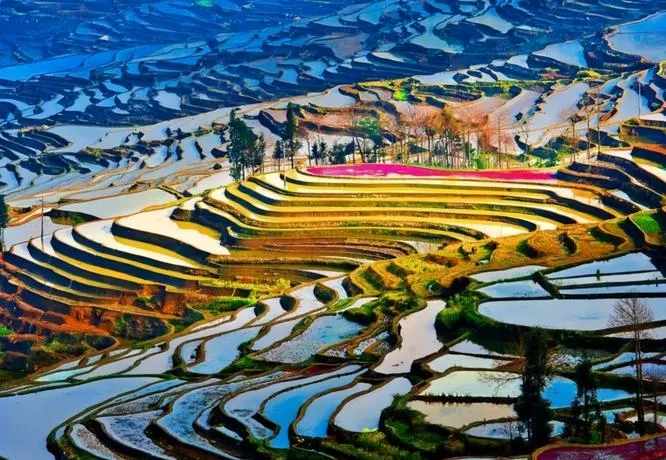 红河著名的旅游景点——元阳梯田