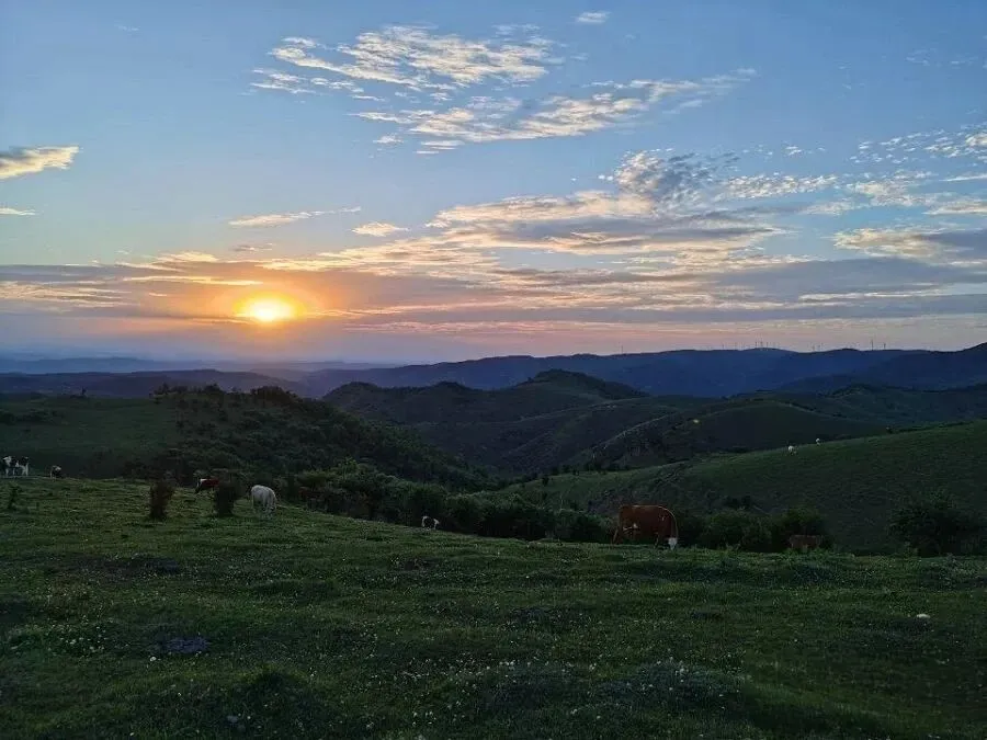 平安草原跻身4A级景区了