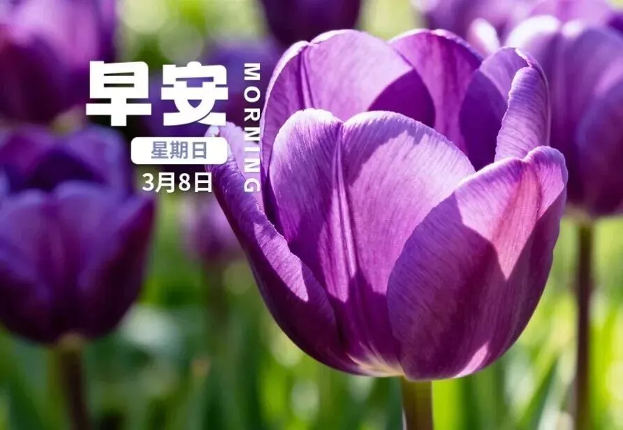 早安!青秀山景区昨日游客量超18万人次!冷空气来袭!男子花113元吃火锅抽奖中10万元!美以袭击已致192名伊朗师生死亡!