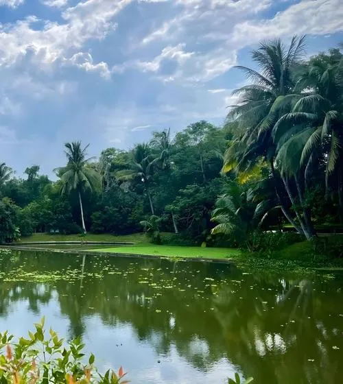 万宁著名的旅游景点——兴隆热带花园