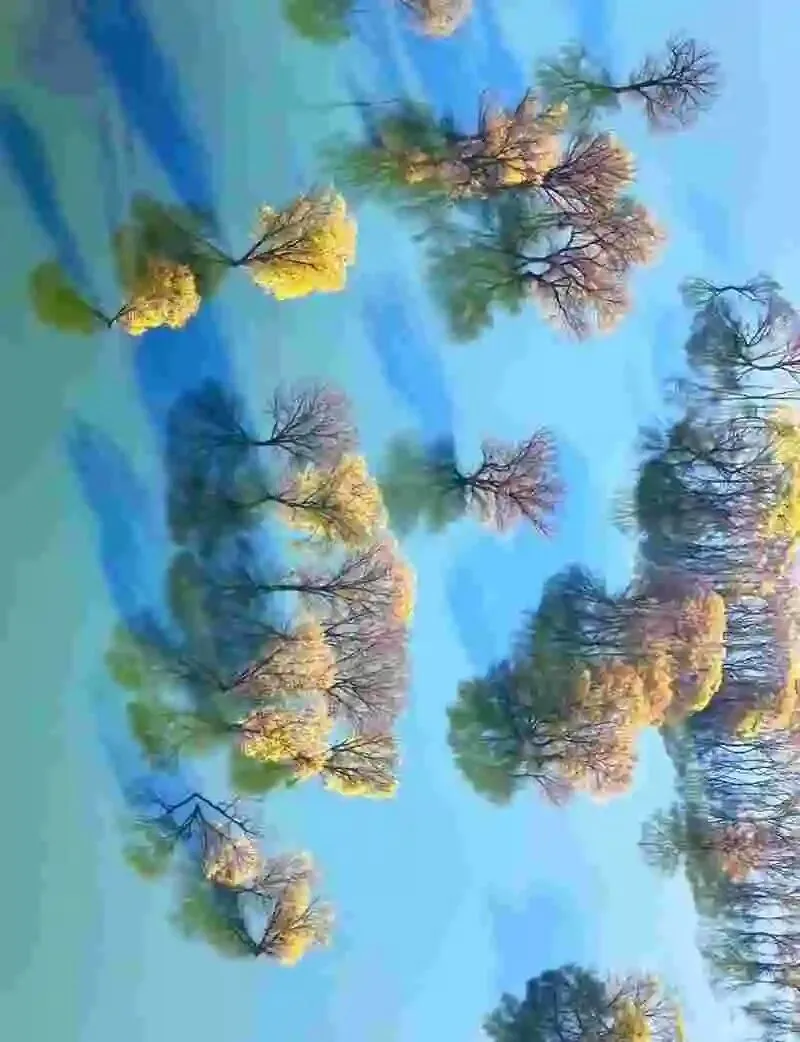 60岁前,一定要去的中国这3个5A景区,去过1个便觉心被安放