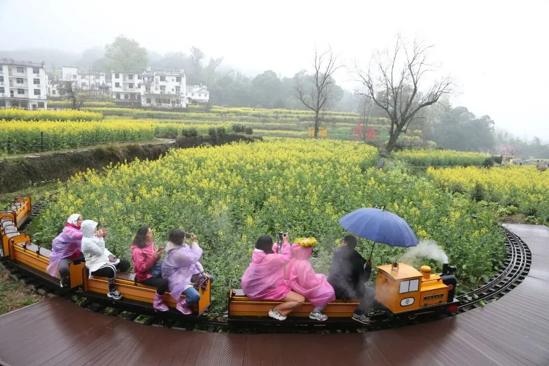 旅游摄影‖皖南“菜花香”摄影创作团招募