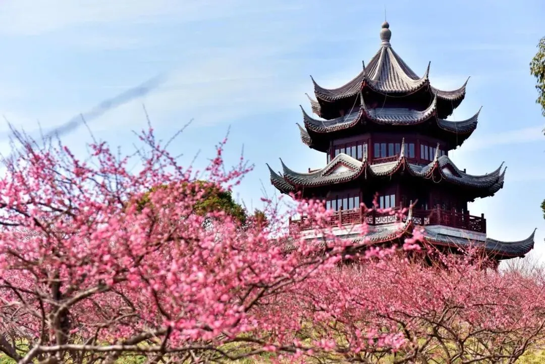 还好看到了!38临港这些景区【免票】【半价】...