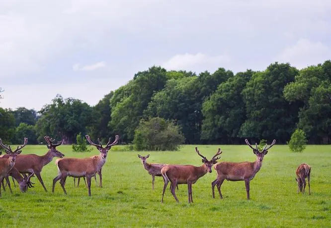 石首县必去十大旅游景点,荆州好玩的地方全在这里!