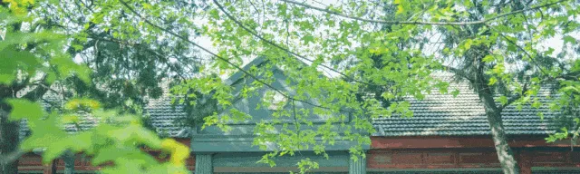 济南旅游学校学生一周营养食谱2026.03.09——03.13