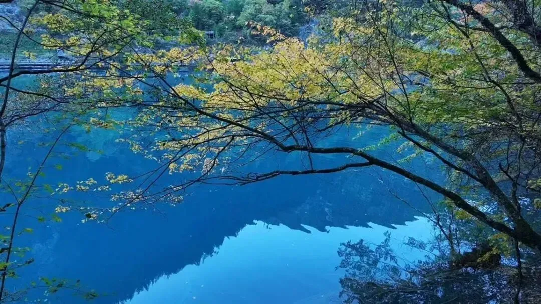 3.8妇女节专属|四川这些景区对所有女士免票!周末去刚好→