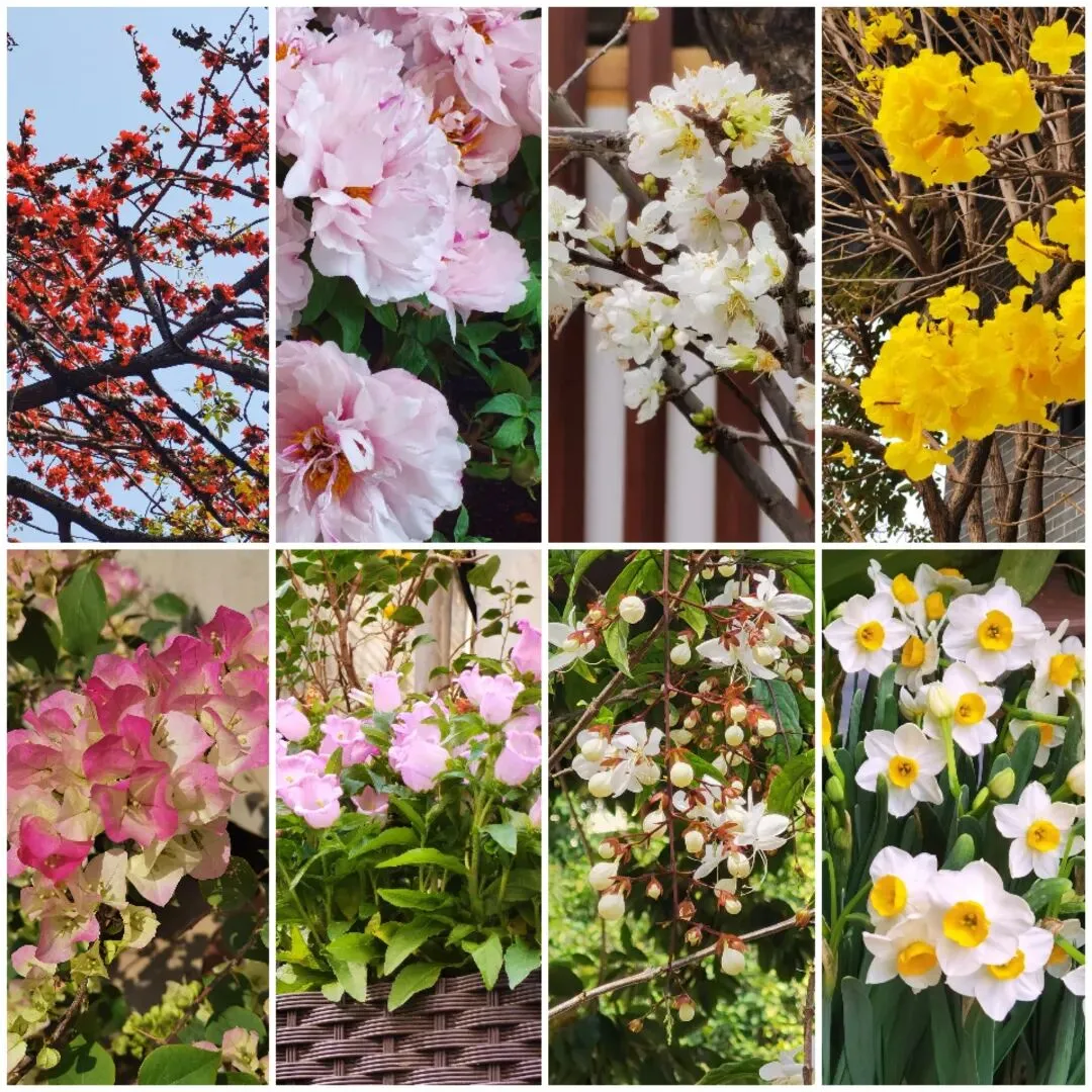 广州春节游记(景点篇)