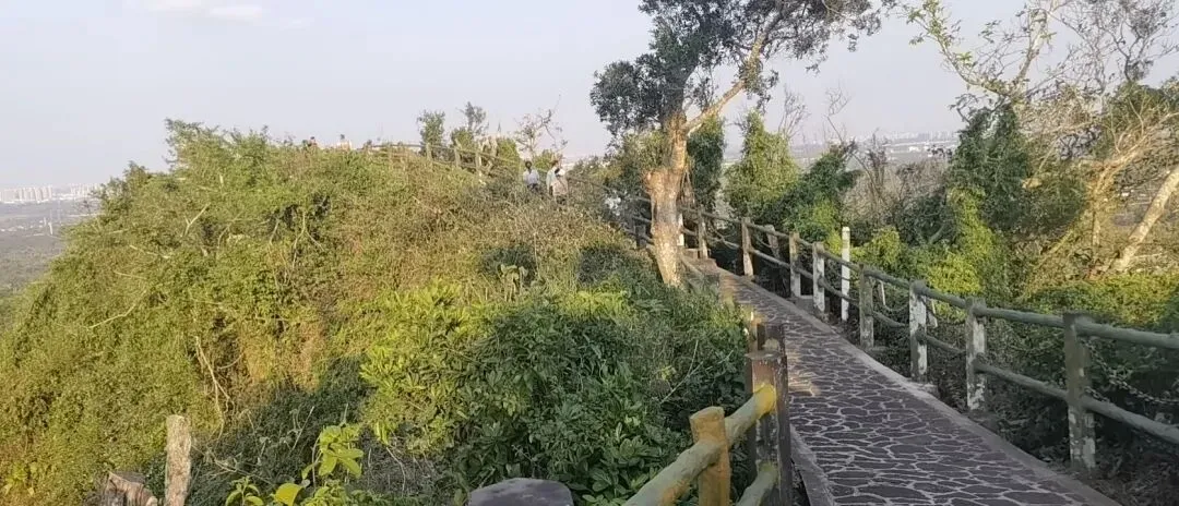 海南自贸港旅游产品开发与热带雨林文化保护冲突中,“文化侵权”的认定标准应如何界定?