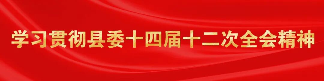 非遗IP+福利满满!桃花潭景区春日“出圈”更“出彩”!