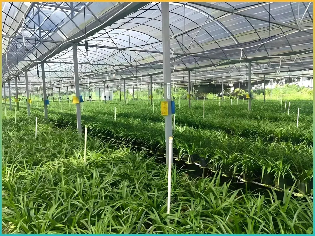 本地人嘴真严,这座藏在小县城里的宝藏景点,3月桃花盛开却鲜为人知,太美了!