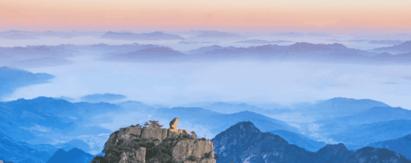 春风有信,花开有期 | 旅游学子用一束手工花,向每一位女性致敬