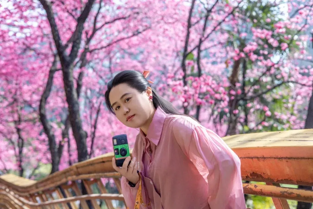昆明人私藏春景!不用挤景区,小区栈道随手拍出春日氛围感