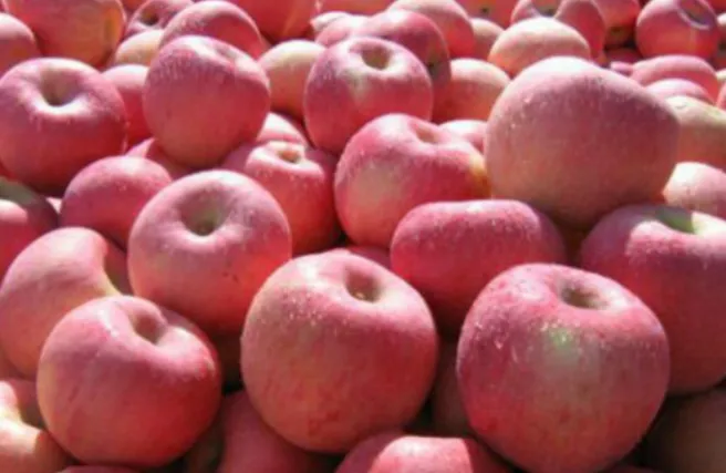 延安市旅游景点——洛川县