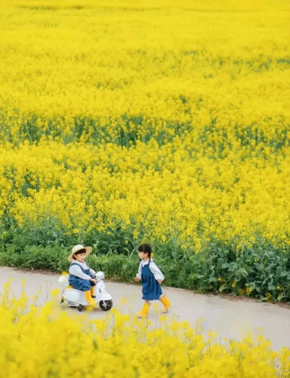 文旅新趋势:景区要会贴标签