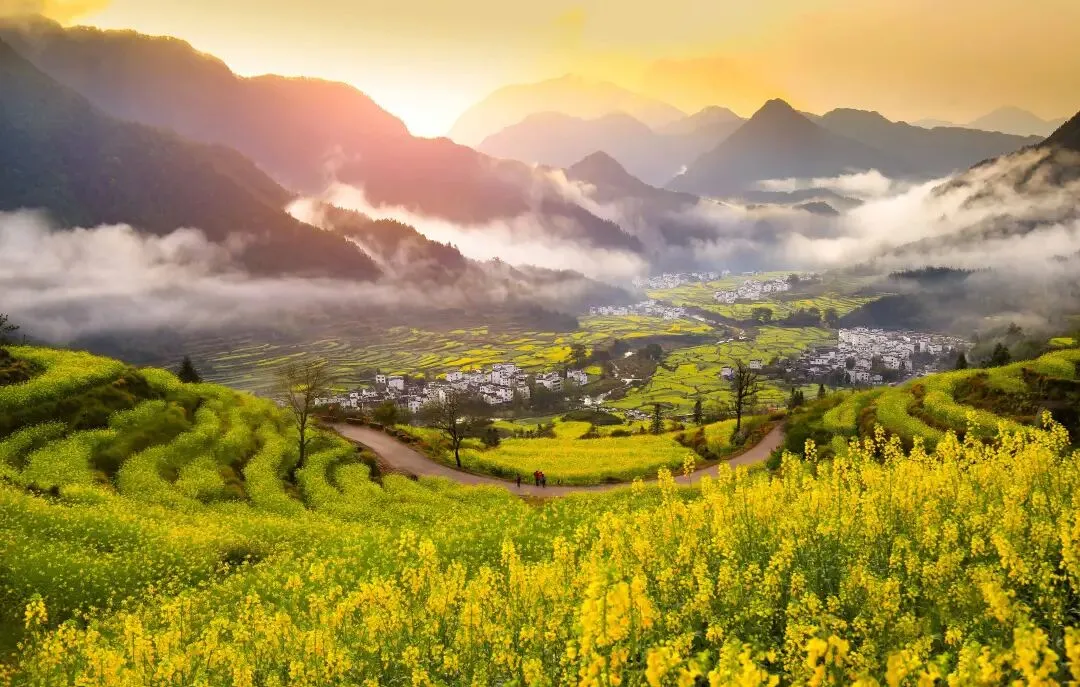 逛吃旅游攻略丨婺源超全避坑指南:油菜花、晒秋、徽派古村、美食一文搞定