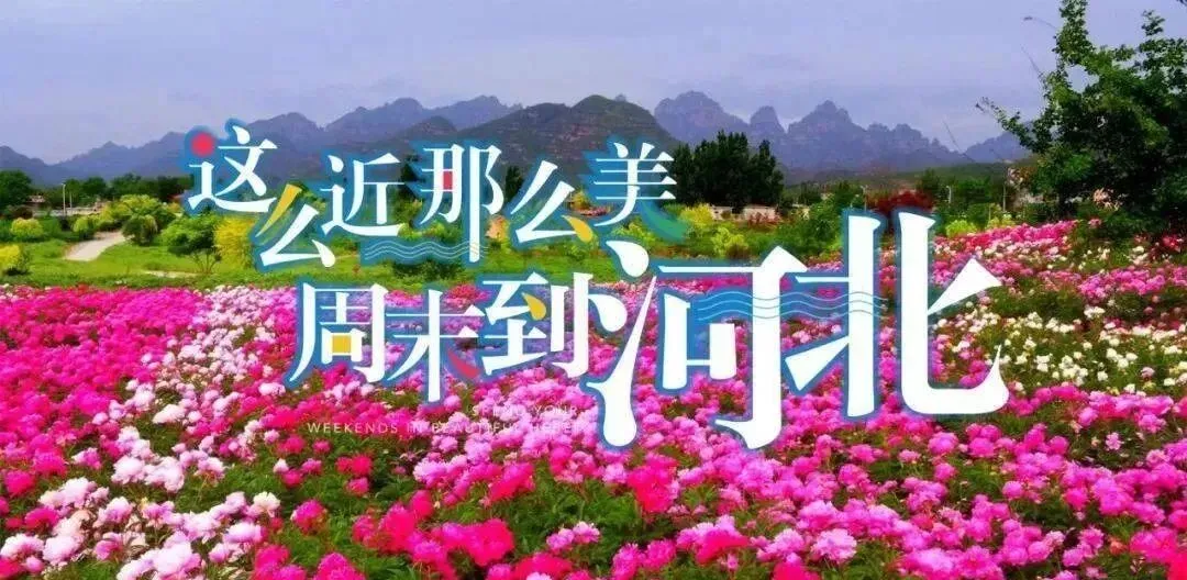 莹彩旅游4月4-5日唐山河头老街(夜景)+菩提岛+唐山宴两日活动360元!