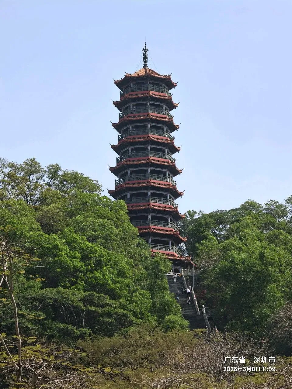 深圳光明 TOP5 的景点—红花山公园.春回大地,万物复苏!!!