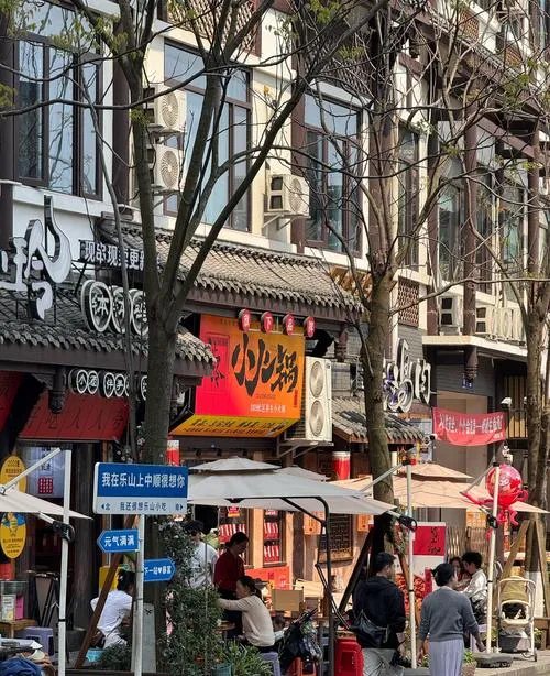 大量德国游客涌入乐山,打着旅游的幌子,不逛乐山大佛,不吃乐山甜皮鸭,为什么?