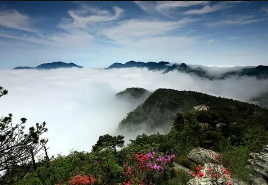 3 月封神!全国5A景区集体免票,错峰游直接赢麻了