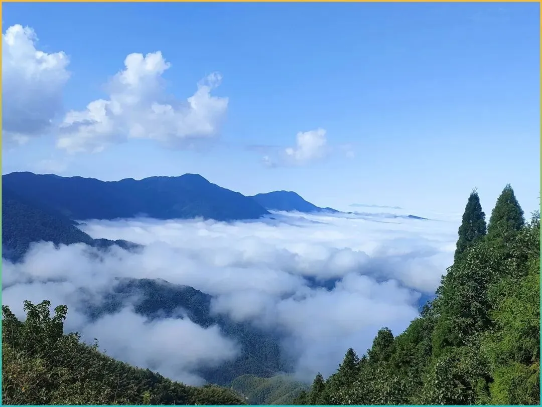 4月冲值的7免票景区!末个索道免费,杏花如雪!