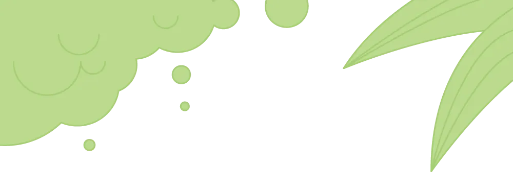 3.14 启幕!第十七届菜花文化旅游季全攻略