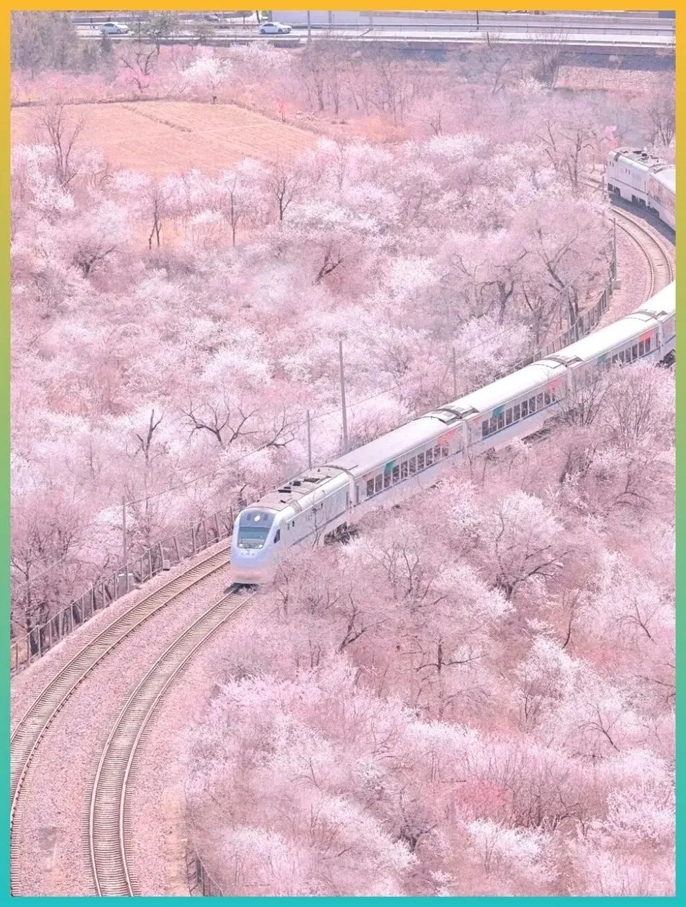 如果中国有绝美6A景区,那么我认为是这5个,去过一半才不枉此生!