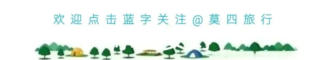 不用挤热门油菜花景区!贵阳近郊这个花田,把春天过成了童话