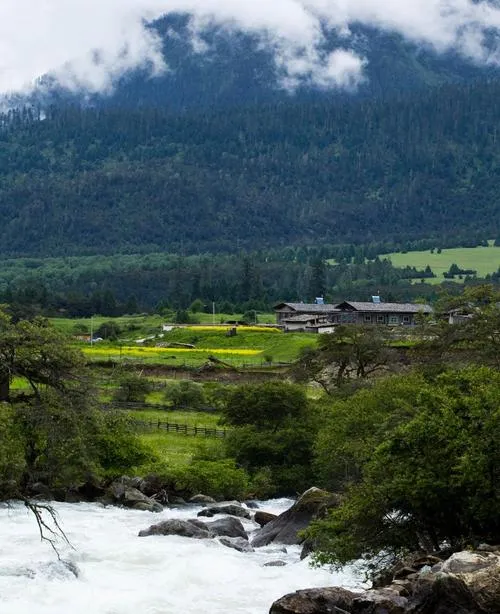 大量德国游客涌入林芝,打着旅游的幌子,不逛鲁朗林海,不吃藏香猪,为什么?