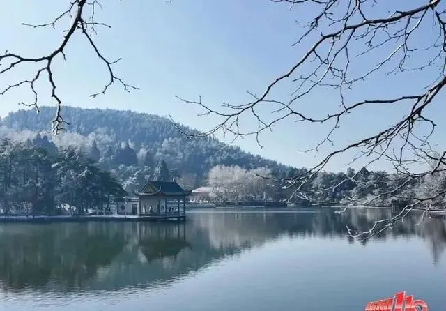 节后机票价格大跳水,重庆200元+景区免票,真能说走就走吗?