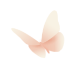 韶关景区诚意满溢,“她们”慕名来打卡