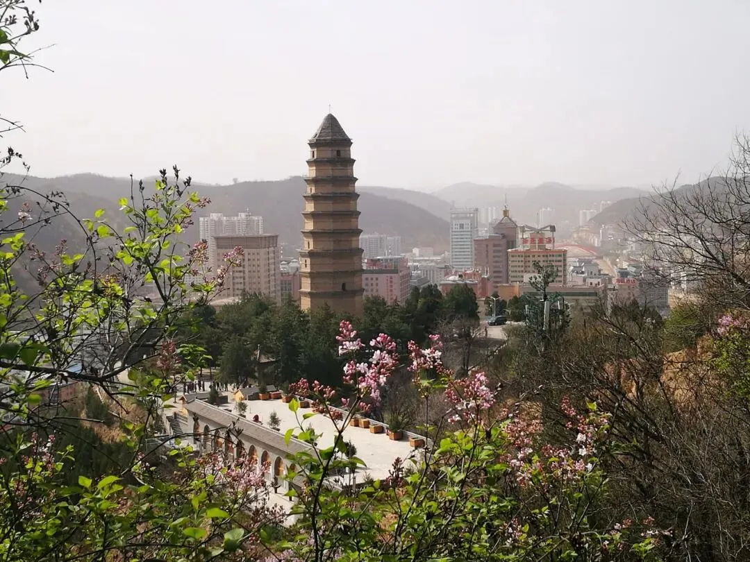 宝塔山景区恢复开园公告