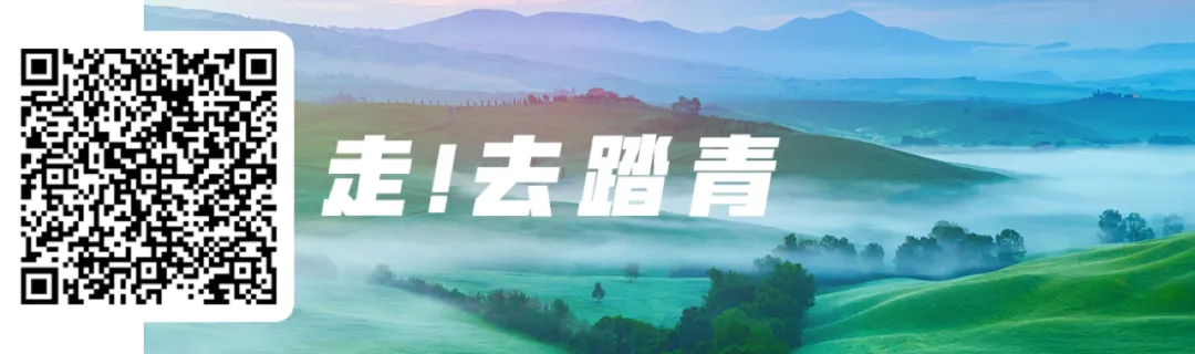 酒店太贵住厕所?泰山景区解释了