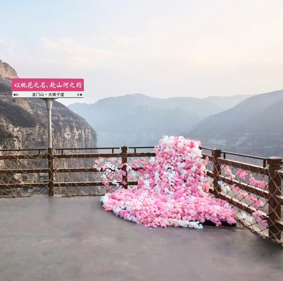 河津黄河大梯子崖景区踏春赏花季开幕