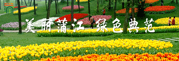 蒲江这3个景点入选,快来投票!探秘四川88个不得不去的景区评选开始啦……