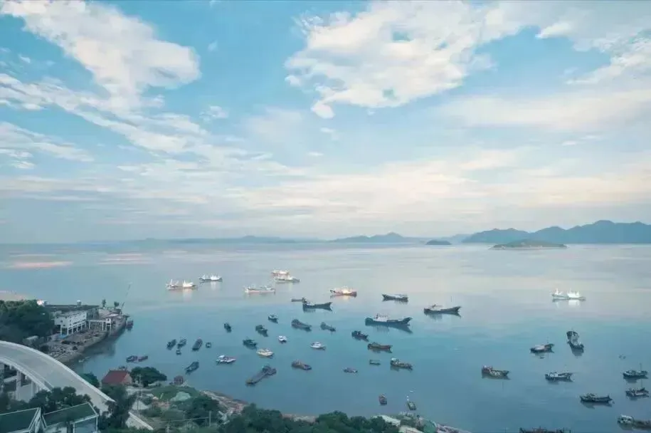 反向旅游的年轻人,带火了这个小渔村