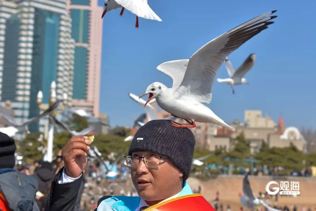 青岛景区的“顶流”,太太太太“上头”了
