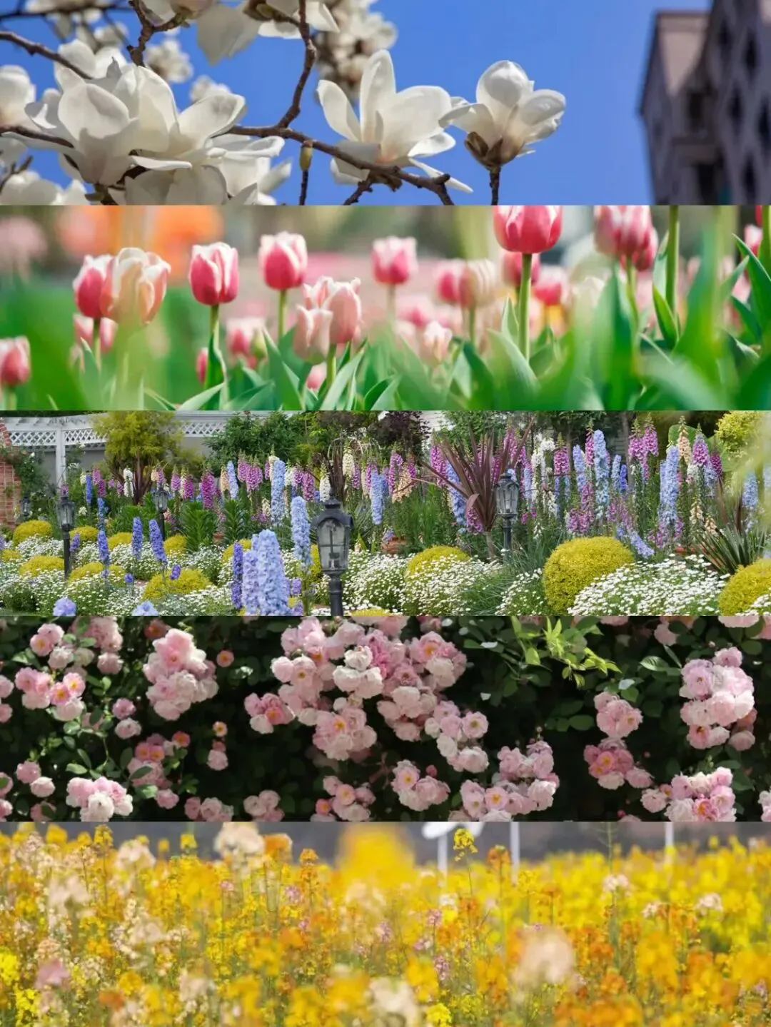 象山春日游玩攻略|最新赏花攻略来了!