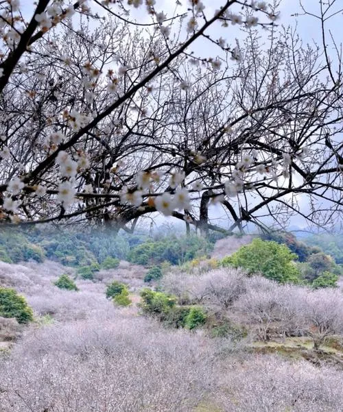 陆河县必去十大旅游景点,汕尾好玩的地方全在这里!