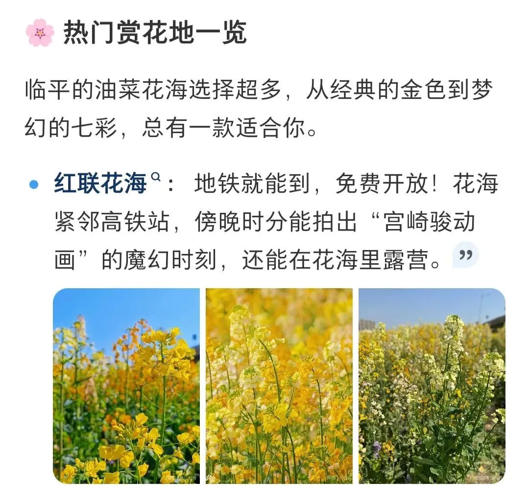 临平热门赏花景点