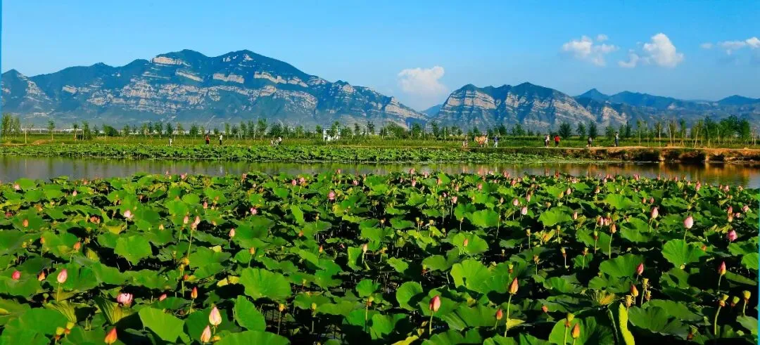 浑源这些景点连起来读,美得像一首诗