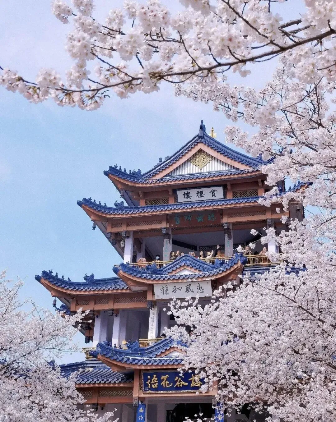 太会藏!无锡鼋头渚4个免费秘境,比收费景点还震撼