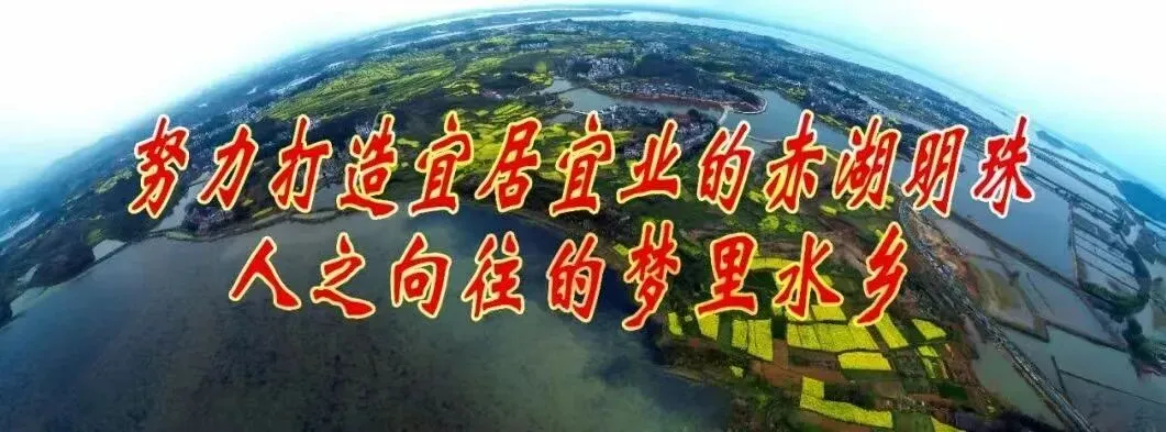 马上开场!2026武蛟油菜花旅游文化活动剧透抢先看→