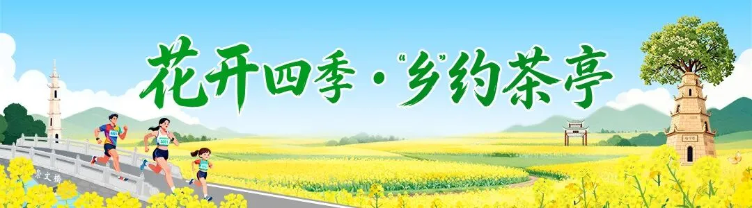 茶亭欢乐跑重磅福利!免费畅游4A景区黑麋峰,惊喜盲盒等你来开→