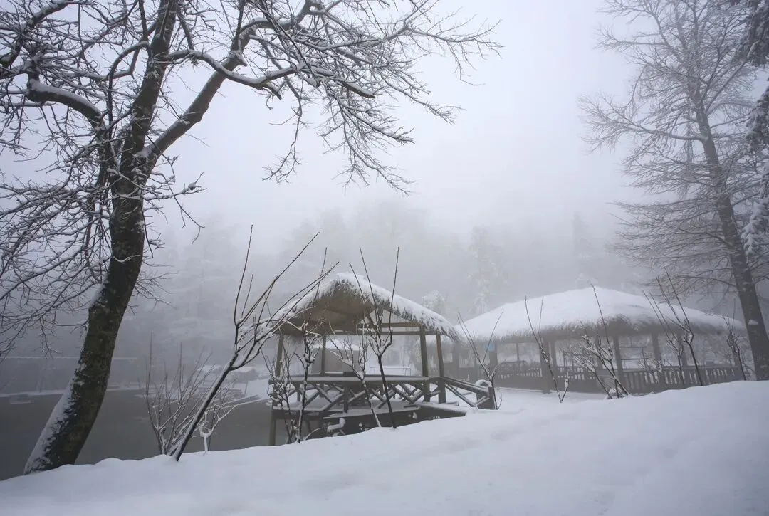 【旅游E点通·活动招募】成为宁波文旅“达人”惊喜连连(含福利)